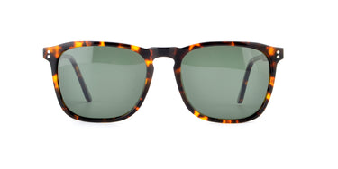 Men Insignia Sunglasses: Sinai - Tort - SpecSMART Eye Clinic (Front View)